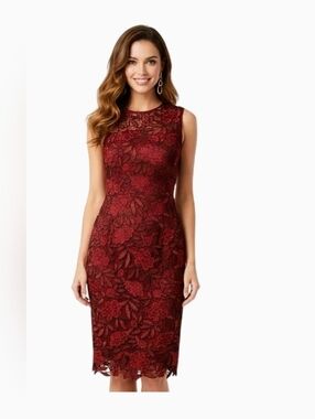 WHITE HOUSE BLACK MARKET LACE DRESS SIZE 4, Cocktail, Romantic